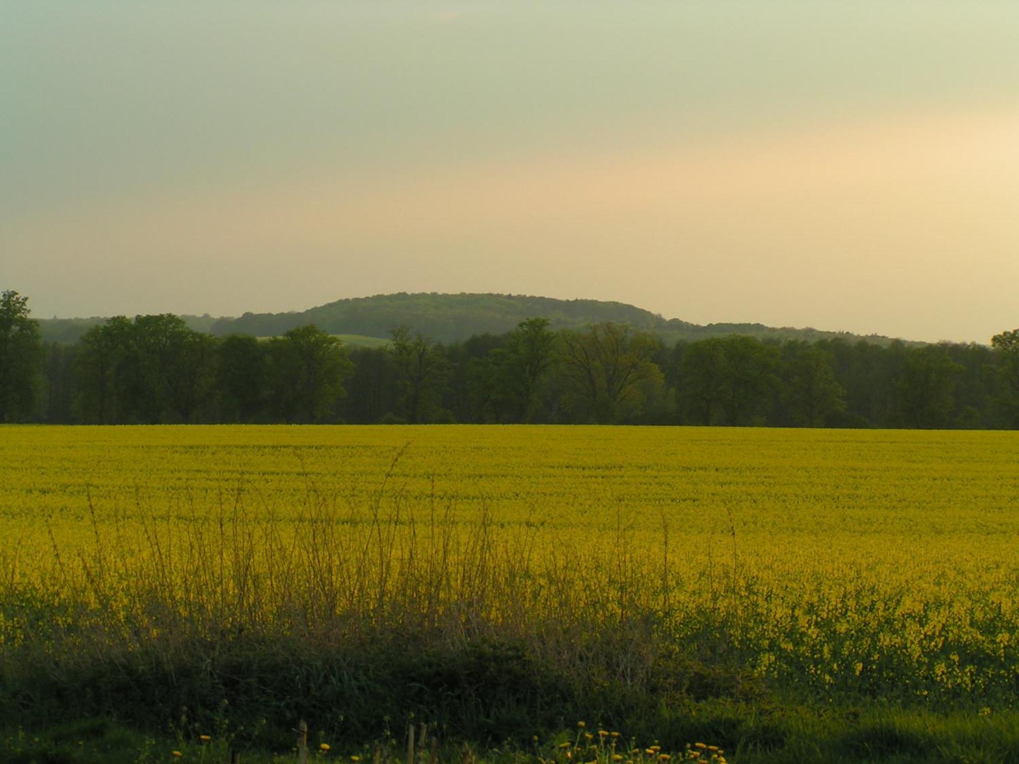 Hof Sorgenlos Gross Gievitz Szoba fotó