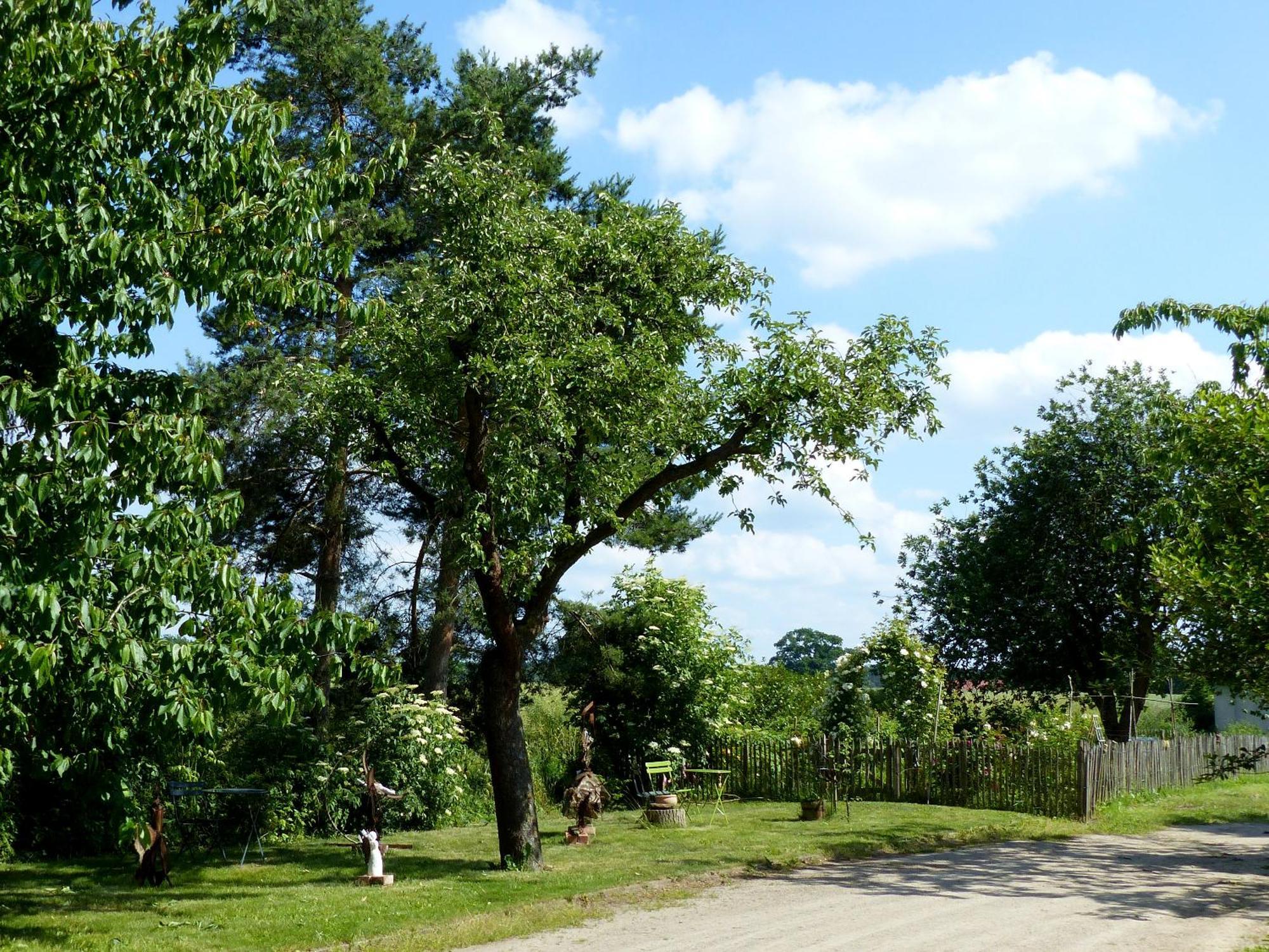 Hof Sorgenlos Gross Gievitz Kültér fotó