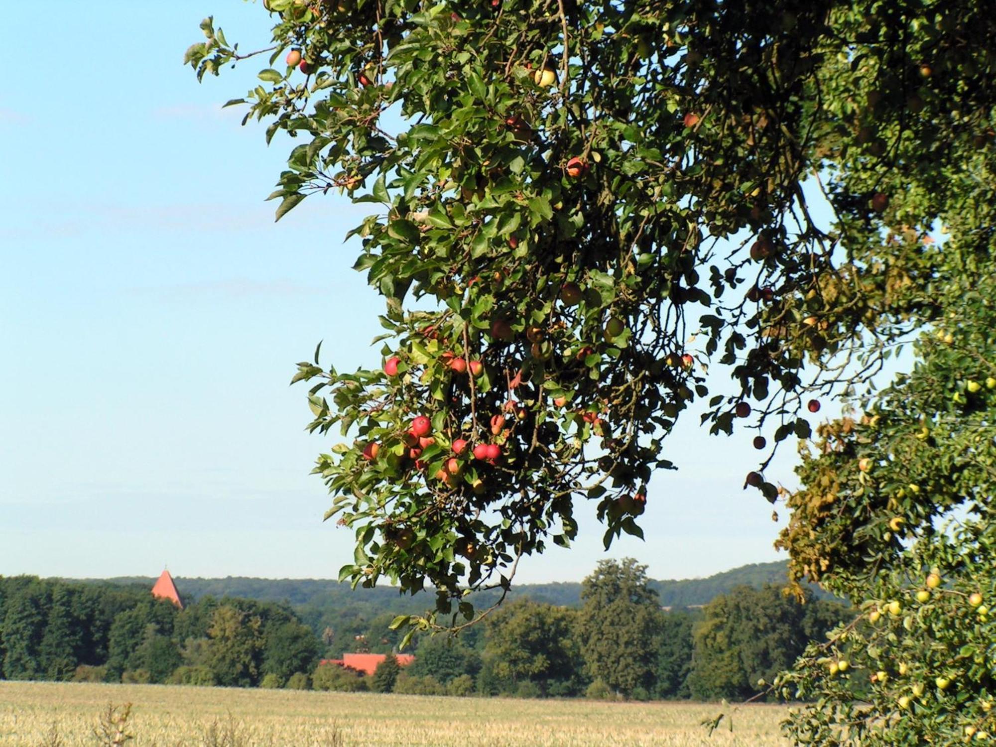 Hof Sorgenlos Gross Gievitz Kültér fotó