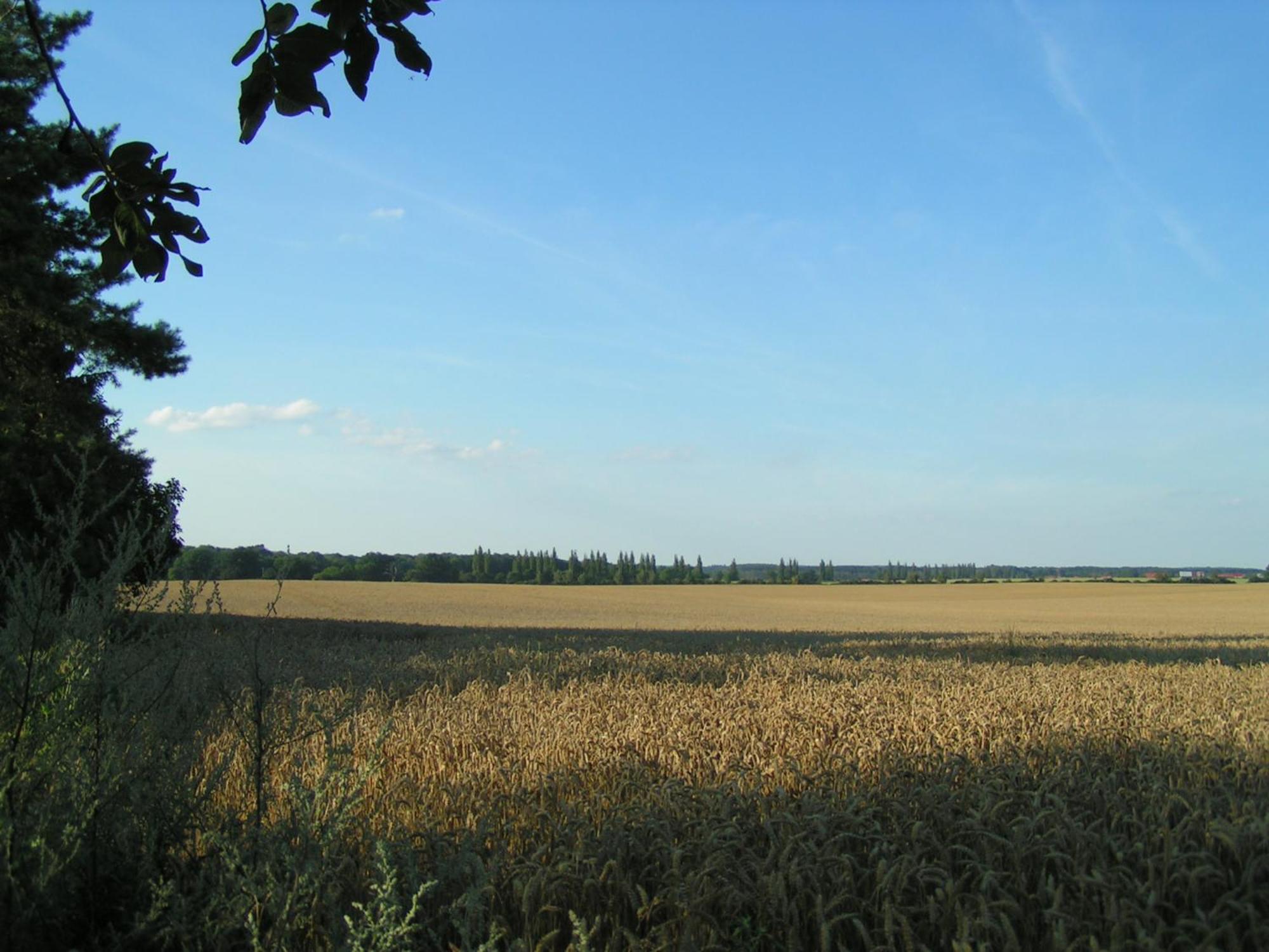 Hof Sorgenlos Gross Gievitz Szoba fotó